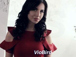 VioBird