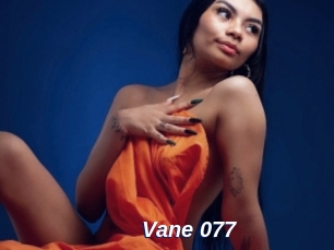 Vane_077