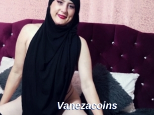 Vanezacoins