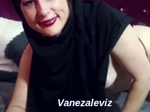 Vanezaleviz