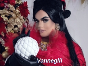 Vannegill