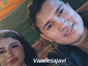 Vannesajavi