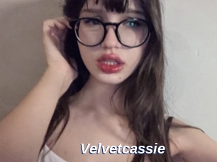 Velvetcassie