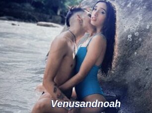 Venusandnoah