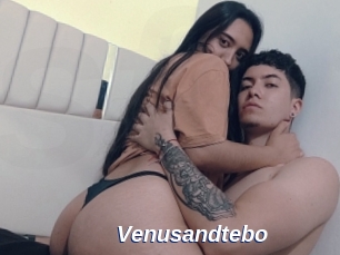 Venusandtebo