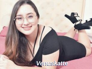 Venuskatte