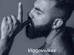 Viggovolkov