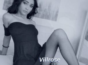 Villrose