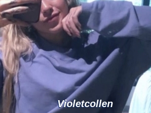 Violetcollen