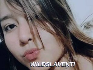 WILDSLAVEKTI