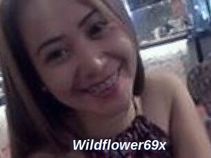 Wildflower69x