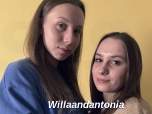 Willaandantonia