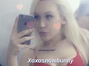 Xoxosnowbunny