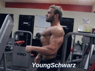 YoungSchwarz