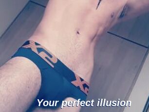 Your_perfect_illusion