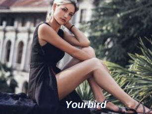 Yourbird