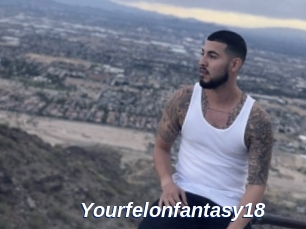 Yourfelonfantasy18