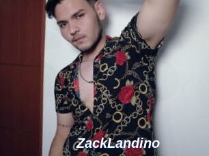 ZackLandino