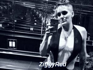 ZiggyRed