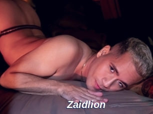 Zaidlion