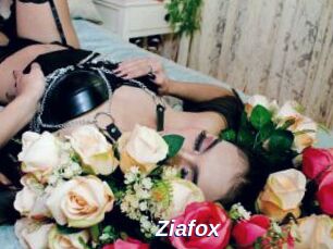 Ziafox