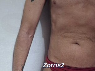 Zorris2